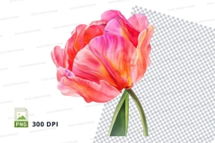 Vibrant tulip clipart png Product Image 1