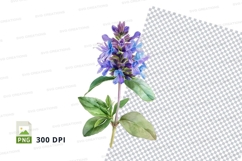 Blue flower clipart png Product Image 1