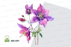 Purple columbine flowers clipart png Product Image 1