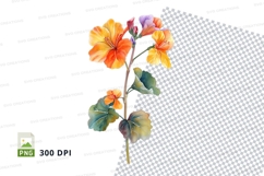 Vibrant geranium flower clipart png Product Image 1