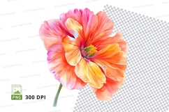 Vibrant poppy flower clipart png Product Image 1