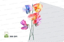 Colorful sweet pea flowers clipart png Product Image 1