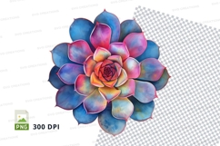 Colorful succulent plant clipart png Product Image 1
