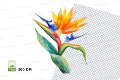 Vibrant bird of paradise flower clipart png Product Image 1
