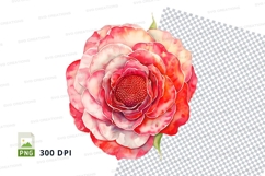 Beautiful red rose clipart png Product Image 1