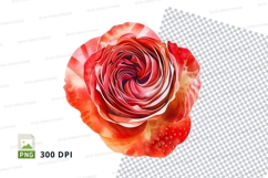 Strawberry rose clipart png Product Image 1