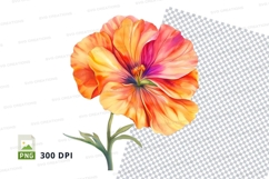 Vibrant orange flower clipart png Product Image 1