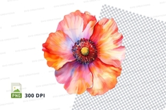 Vibrant poppy flower clipart png Product Image 1