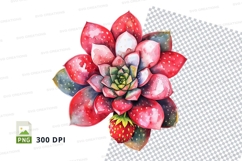 Strawberry succulent clipart png Product Image 1