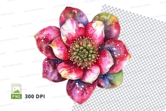 Colorful flower clipart png Product Image 1