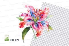 Colorful lily flower clipart png Product Image 1