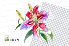 Beautiful lily flower clipart png Product Image 1