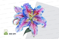 Vibrant blue and pink lily flower Product Image 1