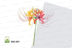 Colorful flower clipart png Product Image 1