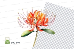 Vibrant orange flower clipart png Product Image 1