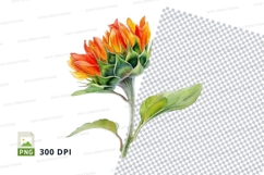 Vibrant sunflower clipart png Product Image 1