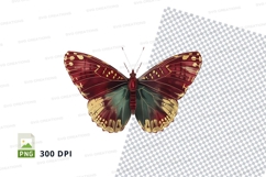 Vibrant butterfly clipart png Product Image 1