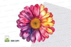 Vibrant daisy clipart png Product Image 2