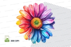 Colorful daisy clipart png Product Image 2