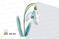 Snowdrop flower clipart png Product Image 1