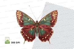 Vibrant butterfly clipart png Product Image 1