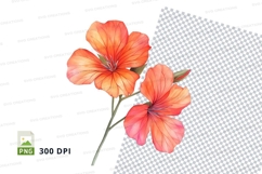 Vibrant orange flowers clipart png Product Image 1