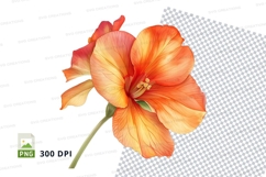 Vibrant orange flower clipart png Product Image 1