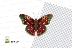CVibrant butterfly clipart png Product Image 1