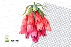 Vibrant flower clipart png Product Image 1