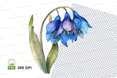 Bluebell flowers clipart png Product Image 2