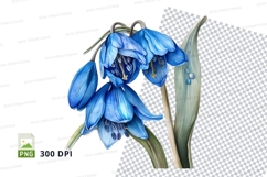 Bluebell flowers clipart png Product Image 1