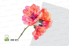 Colorful succulent flowers clipart png Product Image 1