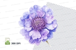 Vibrant red flower clipart png Product Image 1