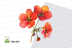 Vibrant orange flowers clipart png Product Image 1