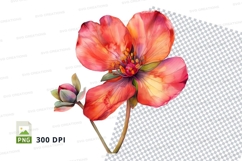Vibrant flower clipart png Product Image 1