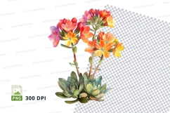 Colorful succulent flowers clipart png Product Image 2