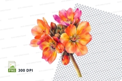 Vibrant flower bouquet clipart png Product Image 2