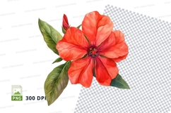 Vibrant red flower clipart png Product Image 2