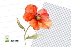 Vibrant orange poppy flower Product Image 1