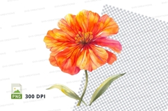 Vibrant orange and pink flower Product Image 1