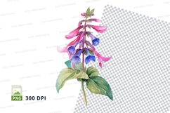 Beautiful flower clipart png Product Image 1