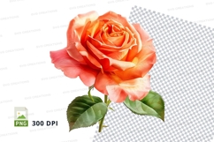 Beautiful orange rose clipart png Product Image 1