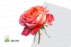 Beautiful pink rose clipart png Product Image 1