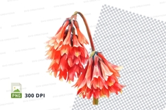 Vibrant red flowers clipart png Product Image 1