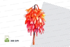 Vibrant flower bouquet Product Image 1