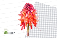 Vibrant red flower clipart png Product Image 1