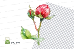 Watercolor rose illustration Product Image 1