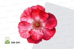 Vibrant pink flower clipart png Product Image 1