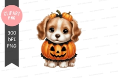 Cute puppy in halloween costume Product Image 1