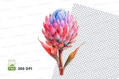 Vibrant protea clipart png Product Image 1